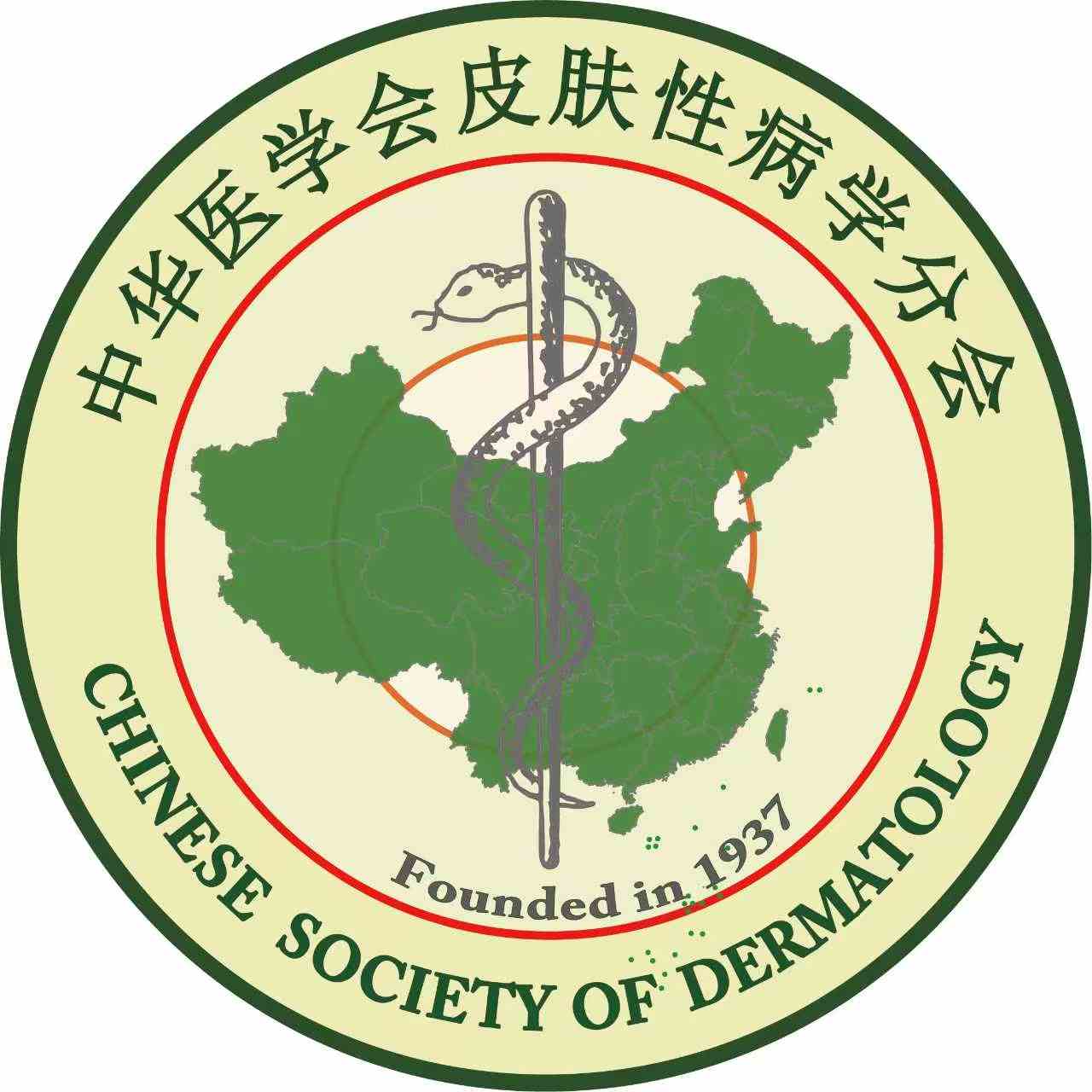 CSD logo