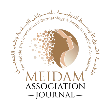 Meidam Association Journal Logo transparent